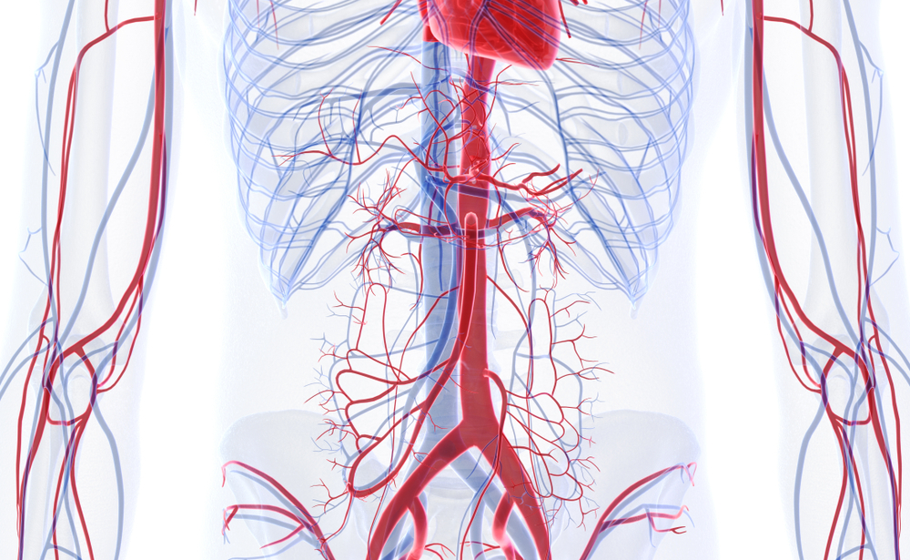 Chirurgie vasculaire